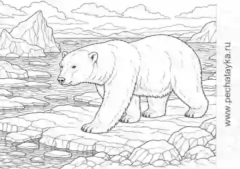 Раскраска белый медведь среди льдов с водой и арктическим пейзажем