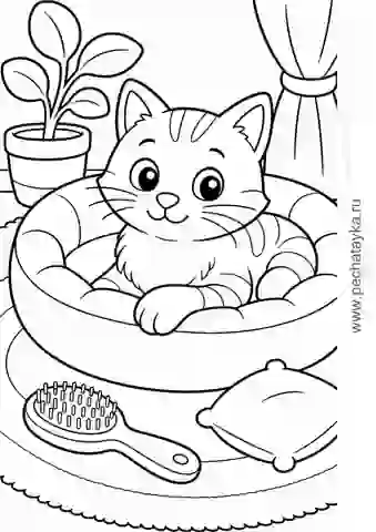 Раскраска кот в мягкой лежанке с подушкой и щёткой для детей 4–5 лет
