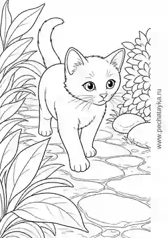 Раскраска котенок на садовой дорожке с листьями и камнями для детей 6–7 лет
