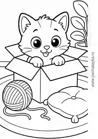 Раскраска котенок в коробке с клубком и подушкой для детей 4–5 лет