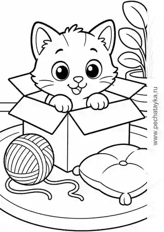 Раскраска котенок в коробке с клубком и подушкой для детей 4–5 лет