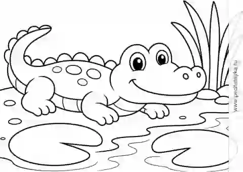Раскраска крошка-крокодил у воды с кувшинками и камышами для детей 2–3 лет