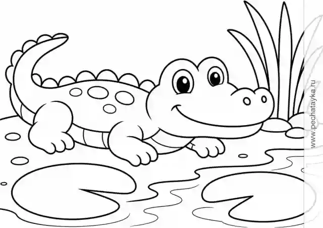 Раскраска крошка-крокодил у воды с кувшинками и камышами для детей 2–3 лет
