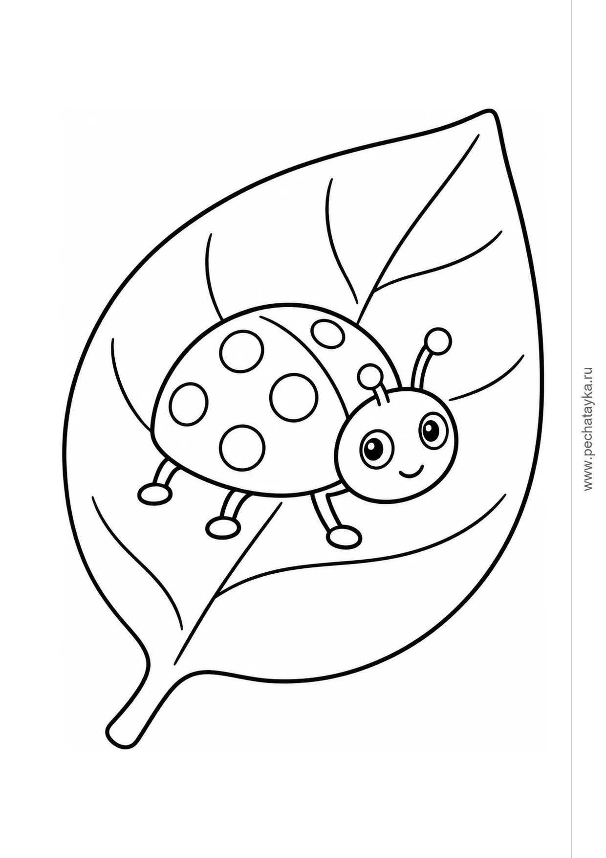 Раскраска листик и божья коровка