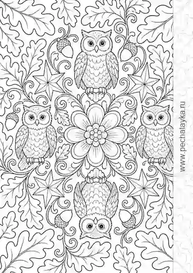 Раскраска мандала с совами