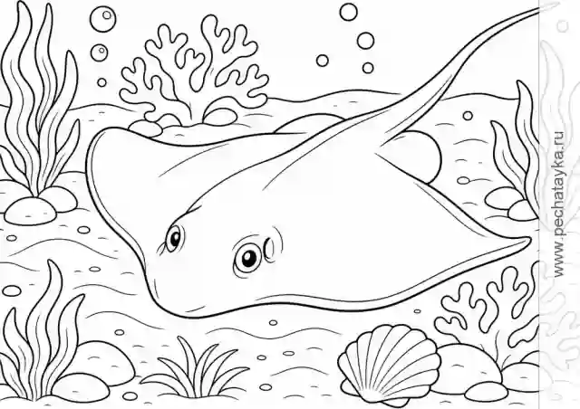 Раскраска скат на морском дне с кораллами для детей 6–7 лет